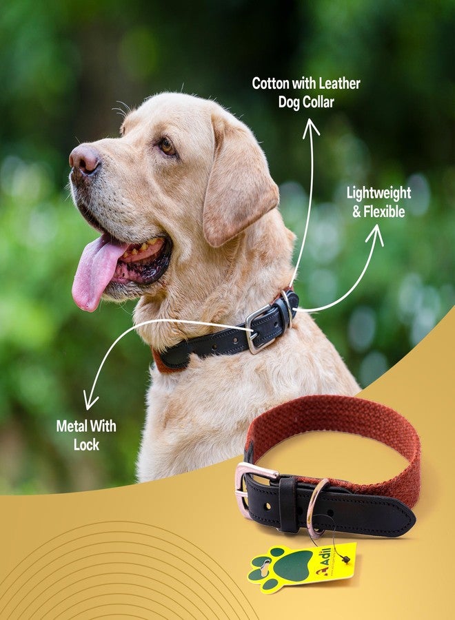 ADIL'S Plain Cotton With Leather Dog Collar,Adjustable Collar Suitable Dogs,(Width: 1 Inch),Orange Brown,Size: Xl - Image 2